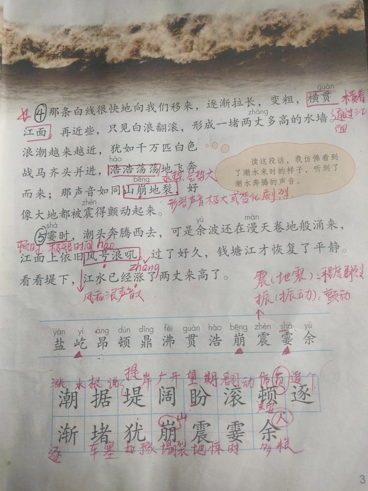 风号浪吼的读音是什么意思啊(风号浪吼的正确读音是什么)