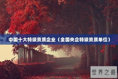 ​中国十大特级资质企业（全国央企特级资质单位）