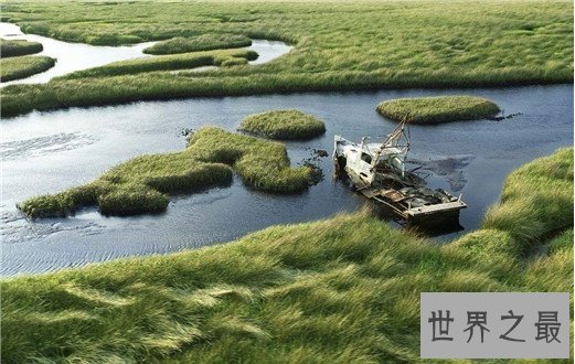 世界十大著名野生动物园，感受野性的呼唤