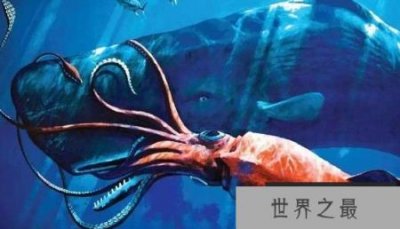 ​海洋十大霸主排名 实至名归