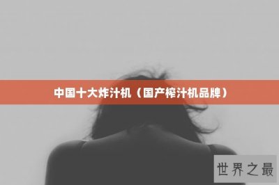 ​中国十大炸汁机（国产榨汁机品牌）