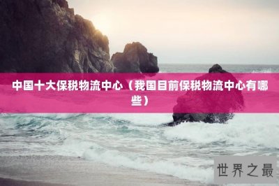 ​中国十大保税物流中心（我国目前保税物流中心有哪些）