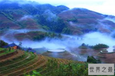 ​世界十大最美梯田：婺源油菜花海上榜，广西龙胜龙脊梯田最美