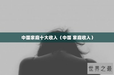 ​中国家庭十大收入（中国 家庭收入）