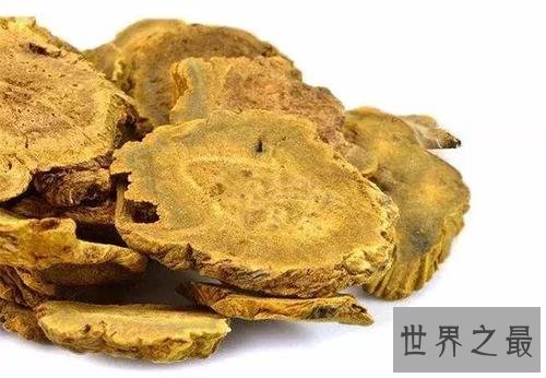 世界十大有毒食物，这些食物真的会吃死人！