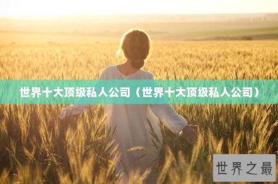 ​世界十大顶级私人公司（世界十大顶级私人公司）