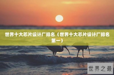 ​世界十大芯片设计厂排名（世界十大芯片设计厂排名第一）