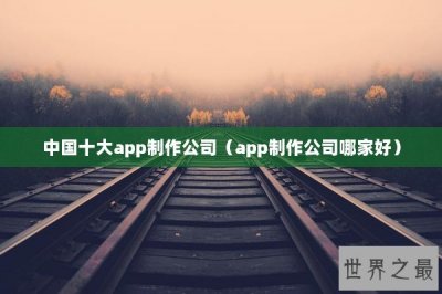 ​中国十大app制作公司（app制作公司哪家好）