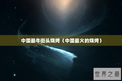 ​中国最牛街头烧烤（中国最火的烧烤）