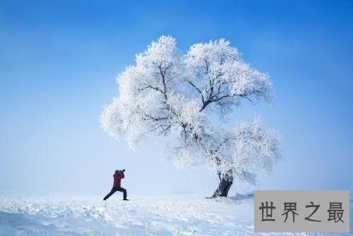 冬季国内十大最佳看雪地，快来这些地方观看漫天鹅毛大雪！