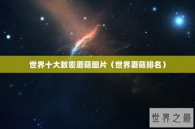 ​世界十大致密蘑菇图片（世界蘑菇排名）