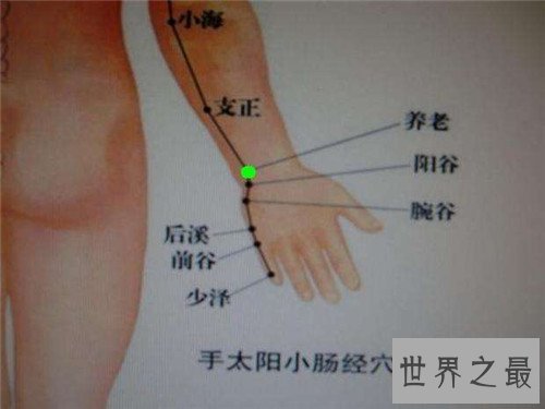 养老穴的位置手法介绍 为何养老穴真的能养老呢