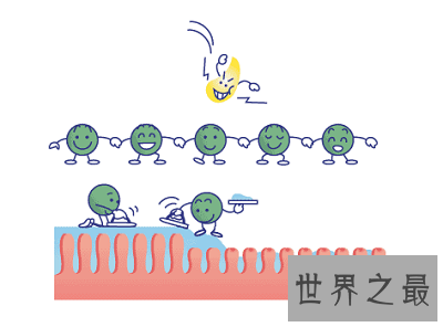 你得胆汁反流性胃炎了吗？最佳治疗方法告诉你