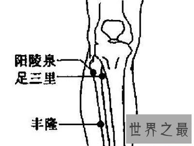 足三里怎么找？厉害了大兄弟！