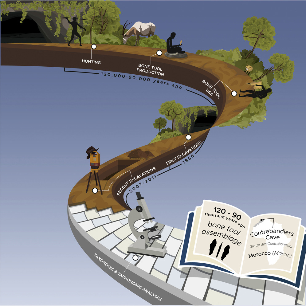 摩洛哥Contrebandiers洞穴发现古人类用来将毛皮做成衣服的骨质工具 距今9万至12万年