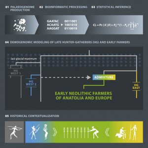 ​1.2万年前中东的游牧狩猎采集者完成人类历史上最重要的转变：开始定居务农