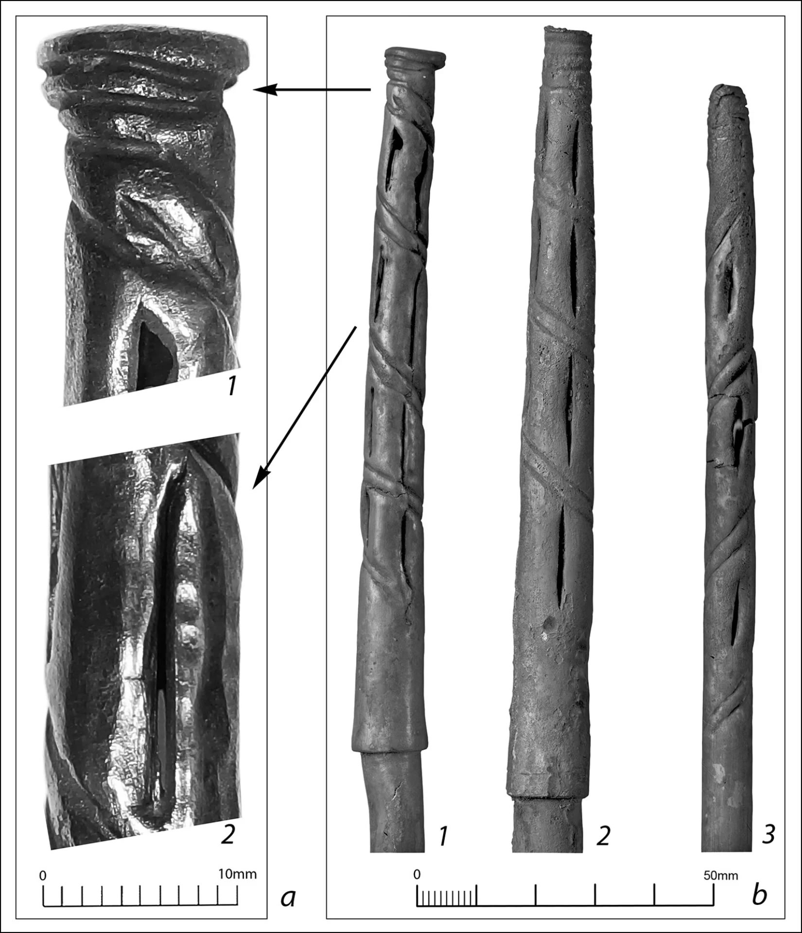 高加索地区迈科普-库尔干墓冢出土的5000年历史吸管暗示了古代集体饮酒的文化