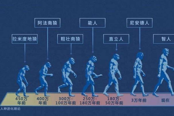 探秘阿尔迪是什么人种，第一个人类是谁生的  1