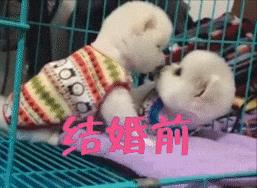 gif：这是我见过最牛逼的试衣间，没有之一，优衣库也不过如此！