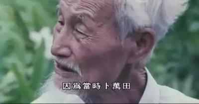 ​楚人美为什么要杀自己侄子小强？这其中的秘密你知道吗？