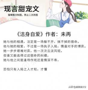 ​高甜娱乐圈宠文，未再《洁身自爱》最好看！男女主离婚后破镜重圆