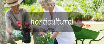 ​每日一词horticultural