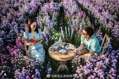 ​New Wongsakorn 与女友甜蜜同游清迈I Love Flower Farm鲜花农场