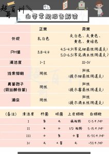 ​一图解读白带常规报告单