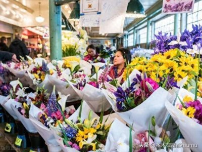 ​上海花卉市场大合集，上海人都不一定全知道，买花比买菜都便宜