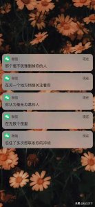 ​抖音热门壁纸，网红锁屏壁纸