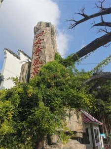 ​德州行：四女寺水利枢纽—佛光禅寺—减河湿地公园—古运河景区